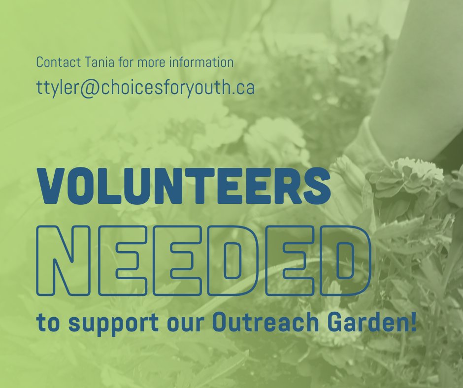 Call for Volunteers! 📣 We are seeking support for our Outreach team to help maintain the Community Garden🌱 Your role will include watering, weeding, harvesting, and more🌿 For more info about this volunteer opportunity, visit 👉 bit.ly/3XfOgO2 #TogetherWeCan #Volunteer
