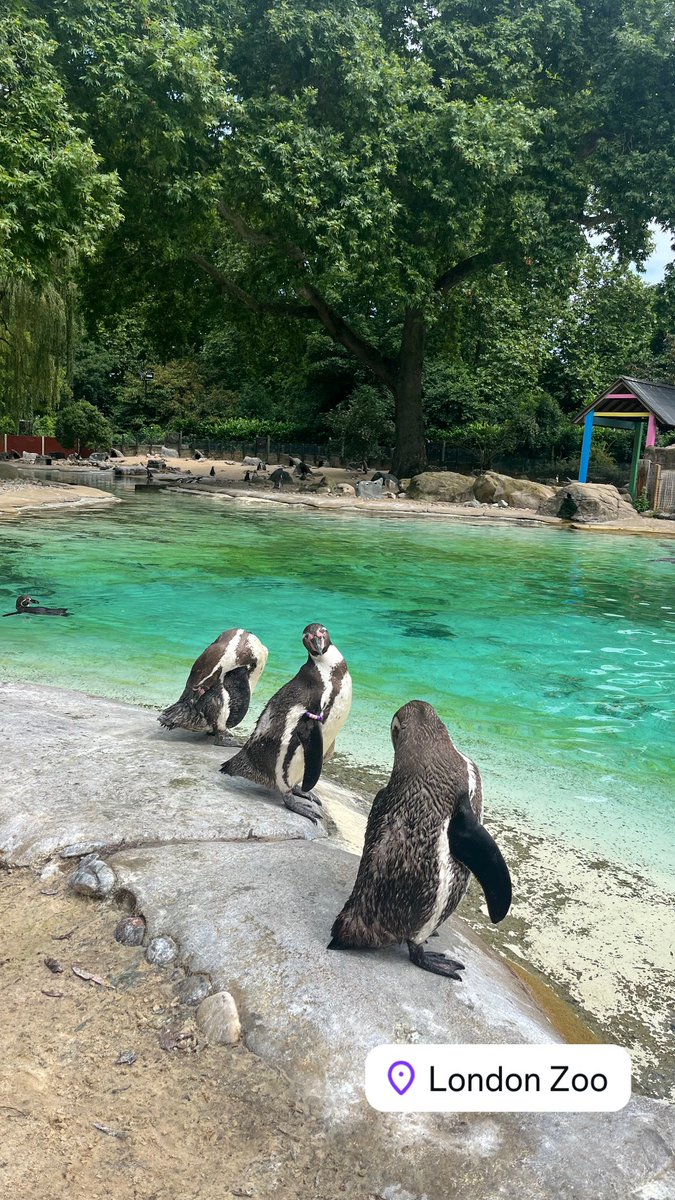 What an incredible few days in London with Year 9! As always <a href="/LHS_HighSchool/">Longdendale High School</a>  students showing off the incredible, polite and well mannered young people they are!