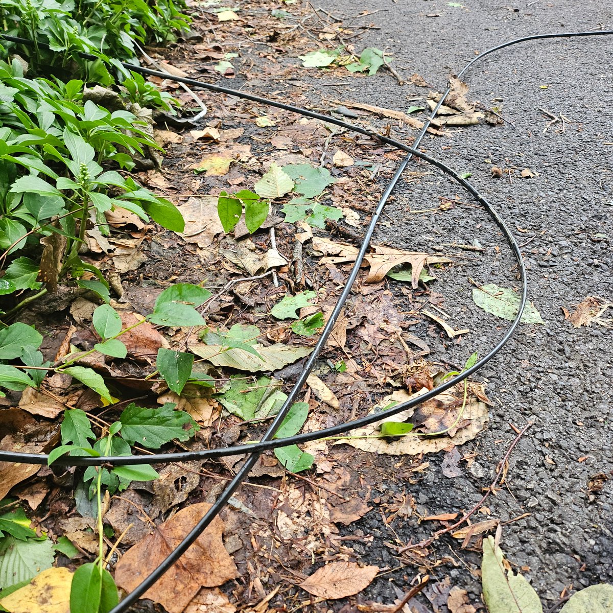 thingsiate's tweet photo. @verizonfios Your "check-network-status" page says I don't have a problem. I'm pretty sure the fiber in my neighbor's driveway says otherwise. I submitted feedback ...
#noInterwebs https://t.co/LQLcBjwcsb