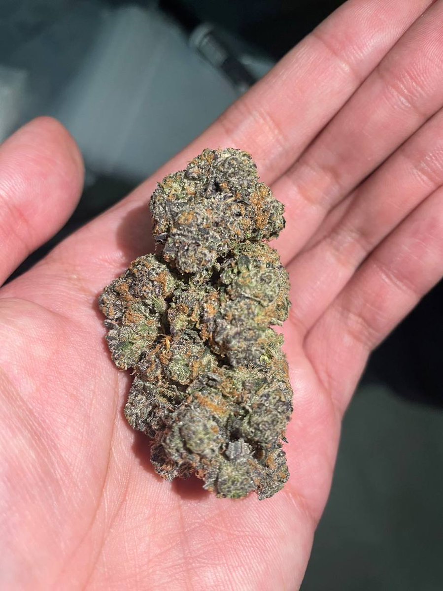 SA top genetics locally grown