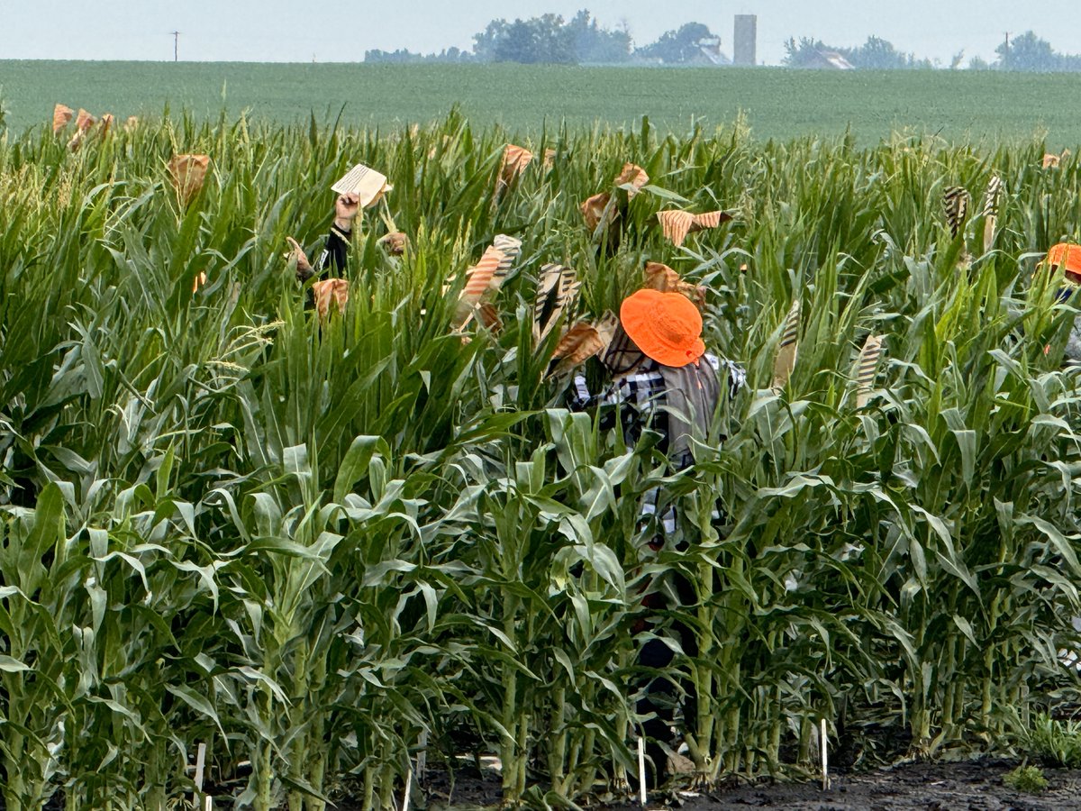 Eric Boeck tweet media