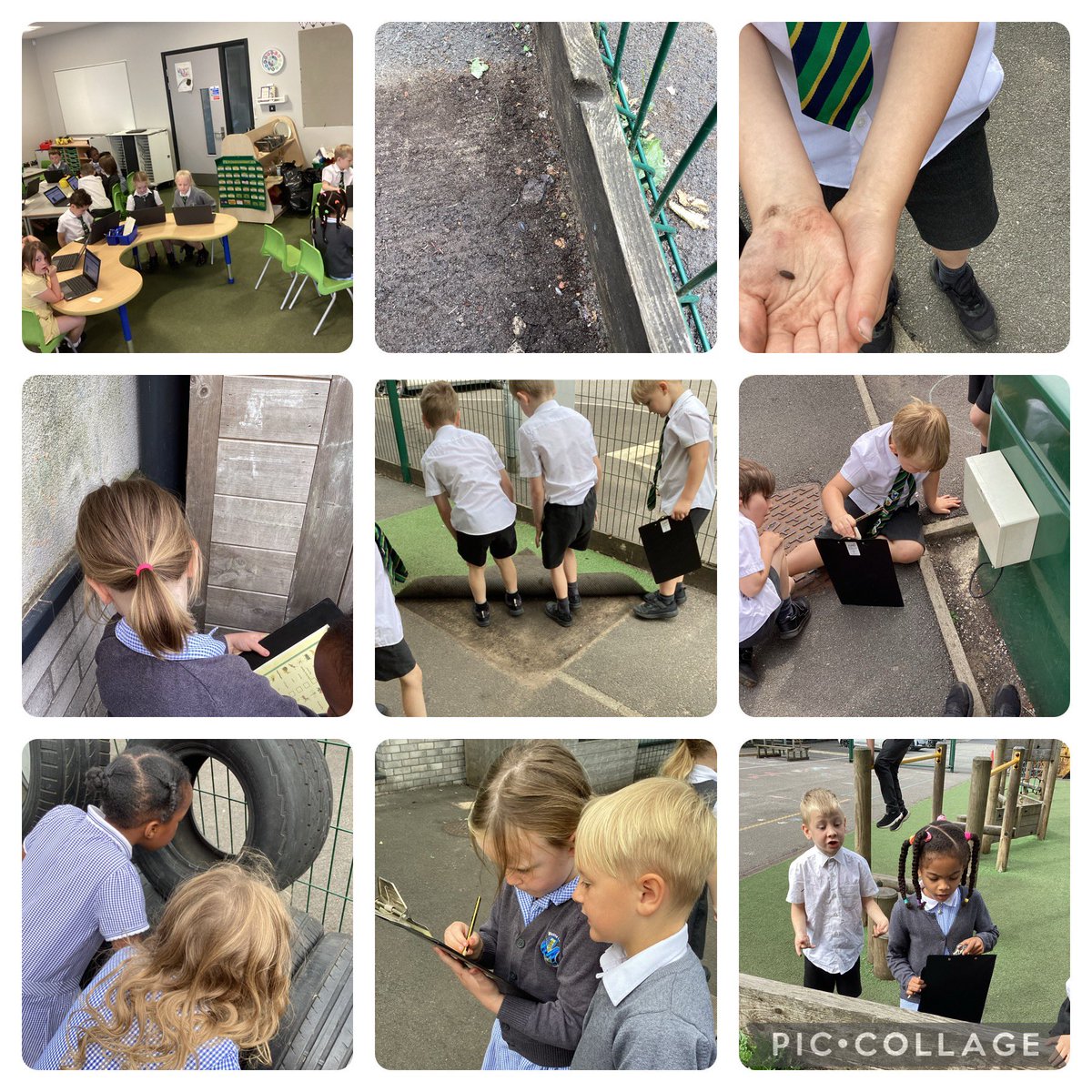 mesne_lea's tweet image. Today in Year 1 Blue we went on a bug hunt, collated our data and produced our own graphs!! #techgeeks #resilience @ReeveMiss