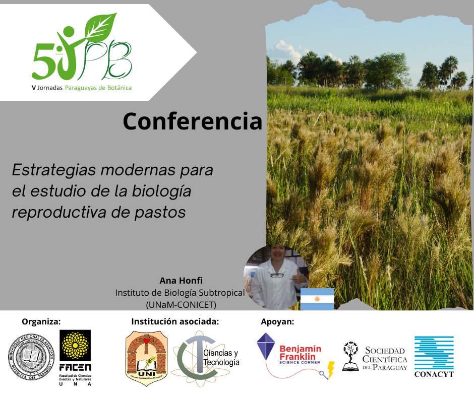 jornadasbotpy's tweet photo. La Dra. Ana Honfi, trabaja en el área de citogenética vegetal, recursos genéticos y embriologia vegetal, principalmente dentro de la familia Poaceae.

Día 2 (jueves 8/08/2024)
🕐 11:30 a.m
(Salón Judith Dos Santos, tercer piso, bloque A)

#vjpb #botanicapy #paraguay #facen https://t.co/NhQ4mzAltU