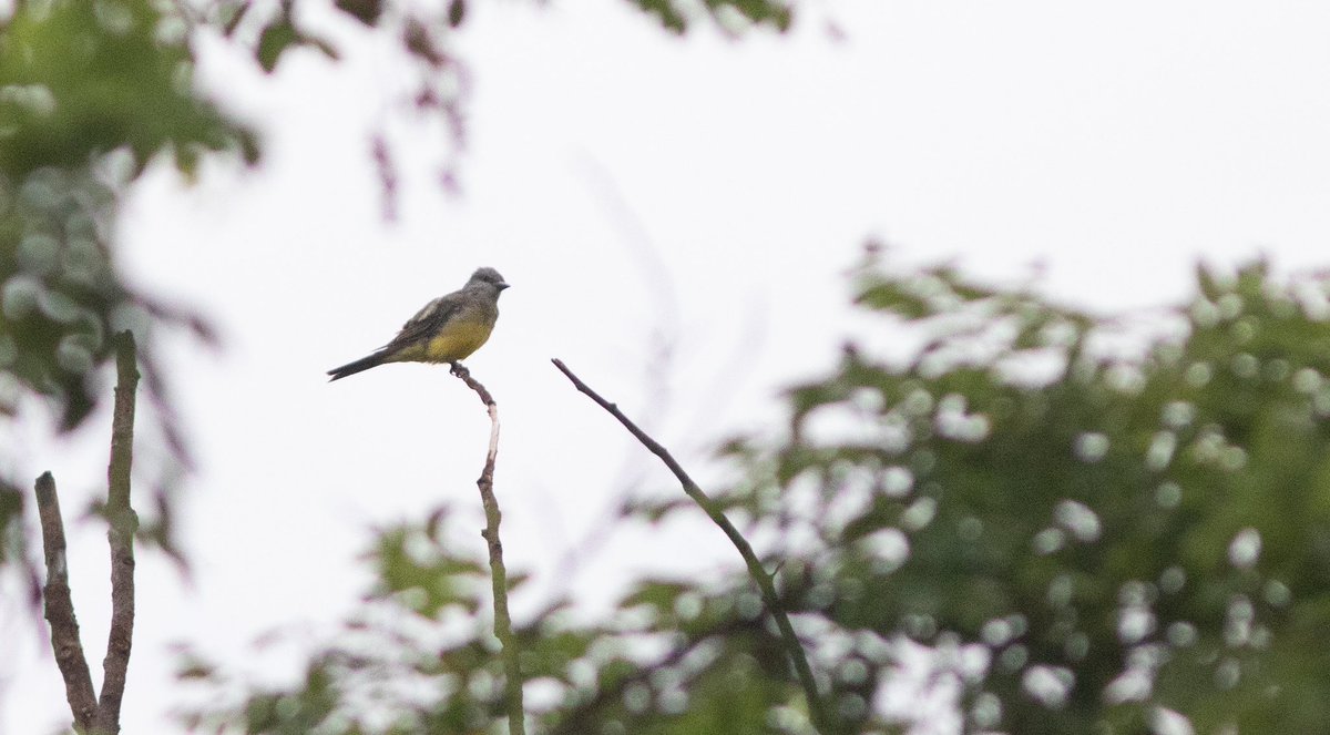 Doug Hitchcox tweet media