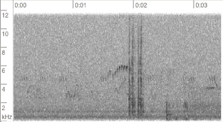 Doug Hitchcox tweet media