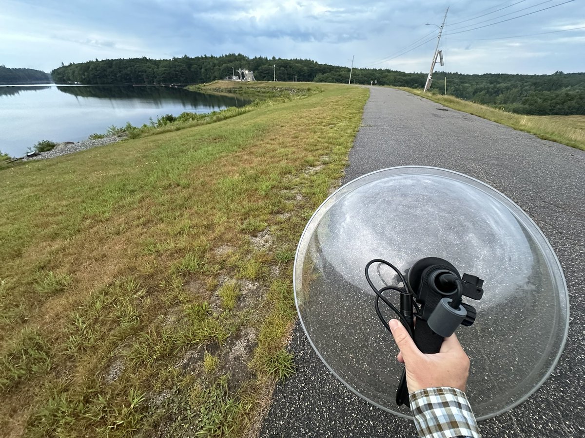 Doug Hitchcox tweet media