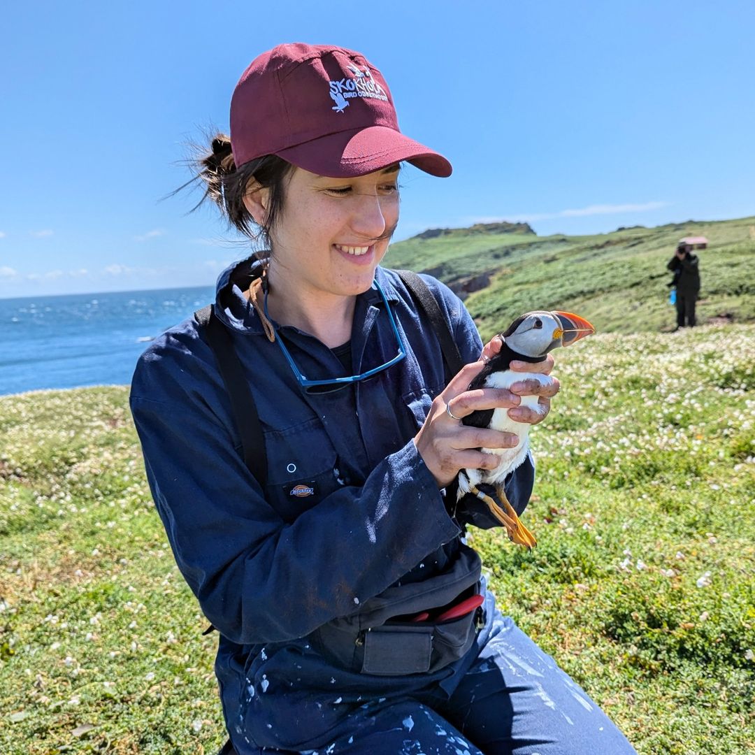 Lara Nouri tweet media