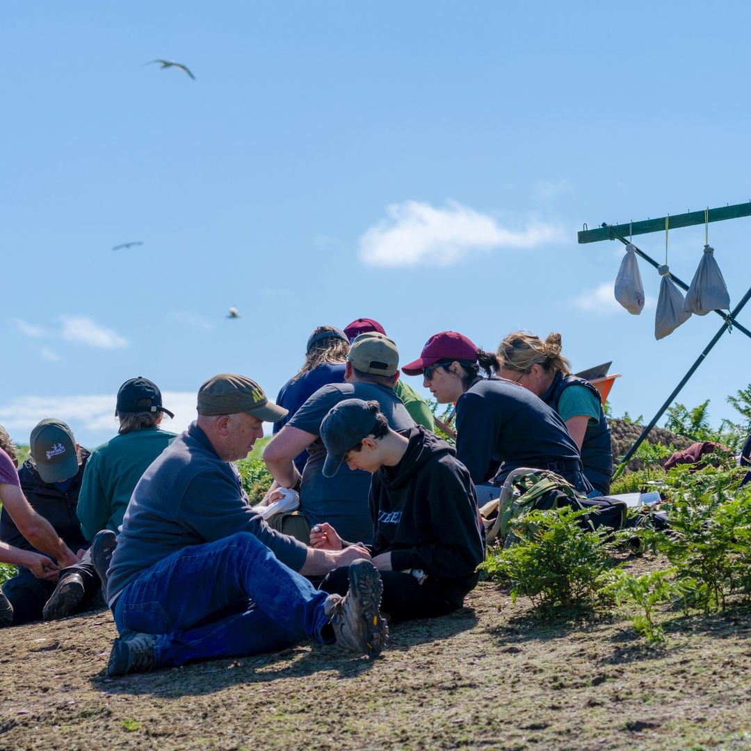 Lara Nouri tweet media