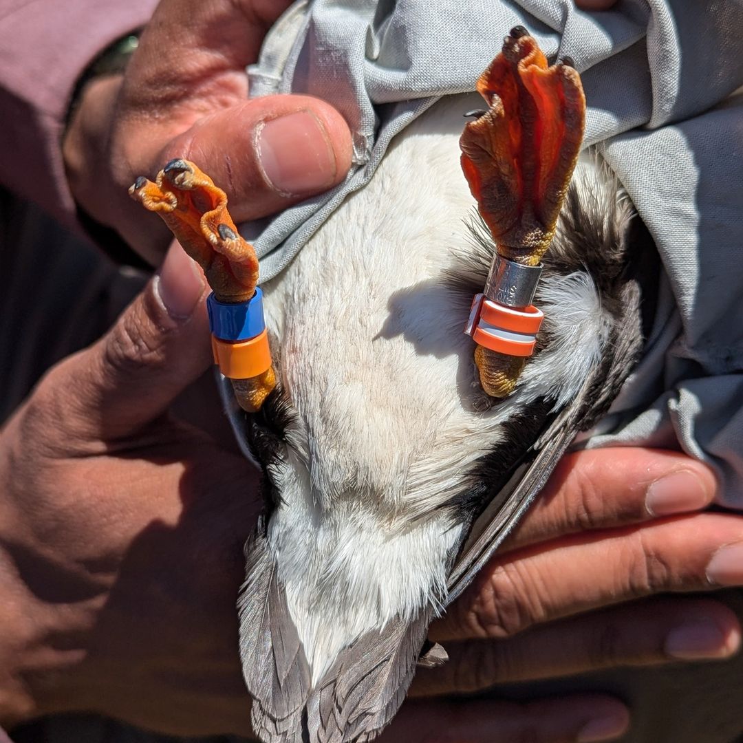 Lara Nouri tweet media