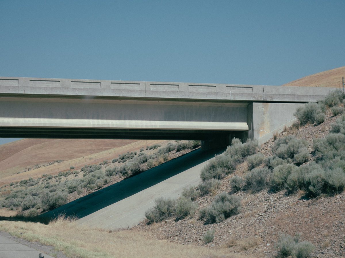 zaadur's tweet photo. Gm ❁

July 12 / Welcome to Idaho https://t.co/UZSGaMEsAH