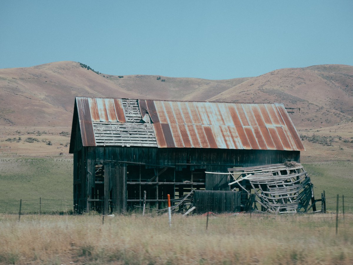 zaadur's tweet photo. Gm ❁

July 12 / Welcome to Idaho https://t.co/UZSGaMEsAH