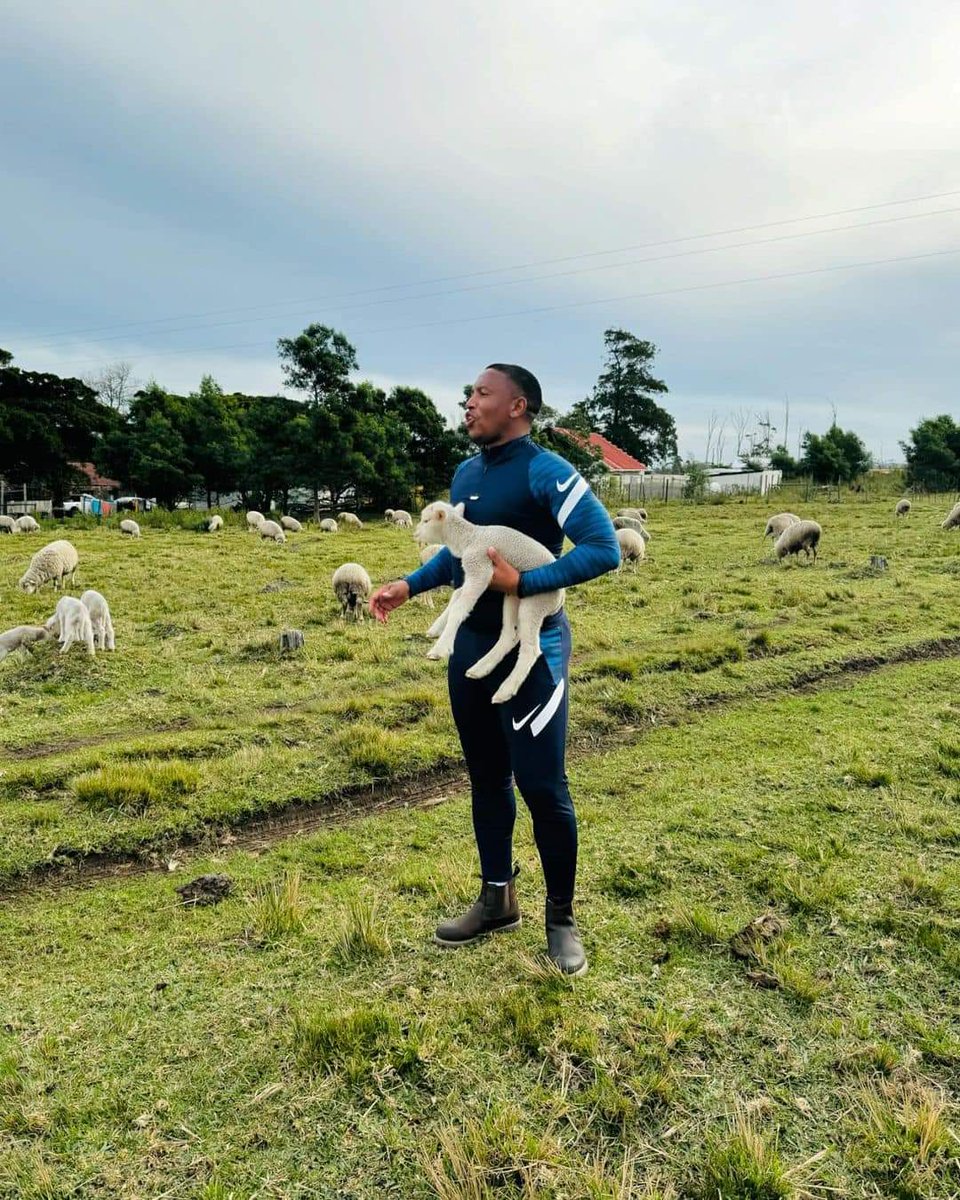 LeratoPillayZA's tweet photo. Former Orlando Pirates player Andile Jali has ventured into the farming sector.. 🚜🌱🐏
#AsReceived https://t.co/uPNjyMh9WF