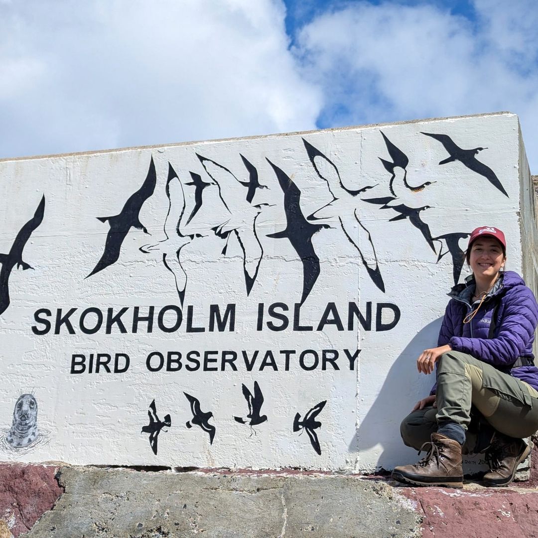 Lara Nouri tweet media