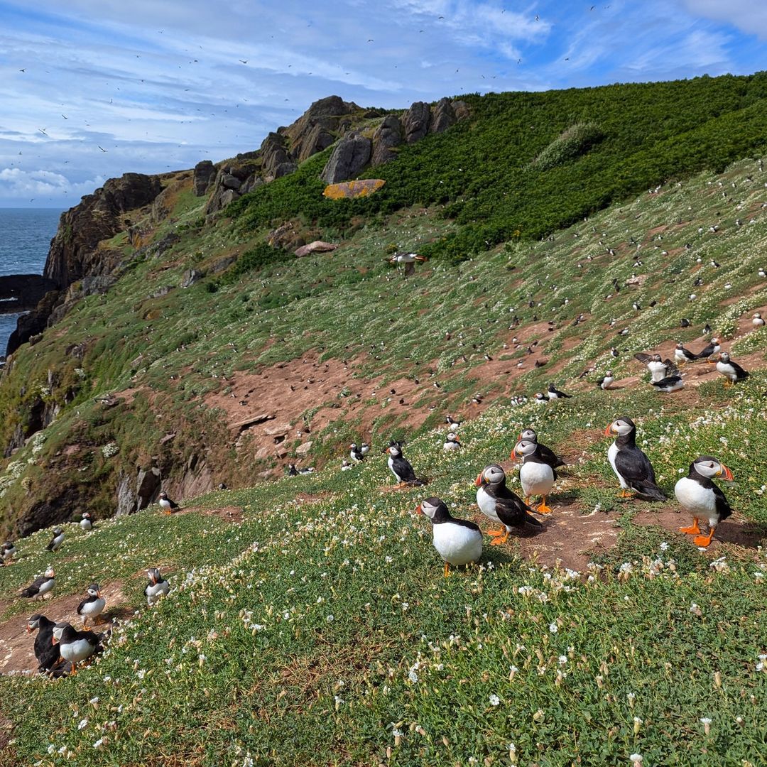 Lara Nouri tweet media