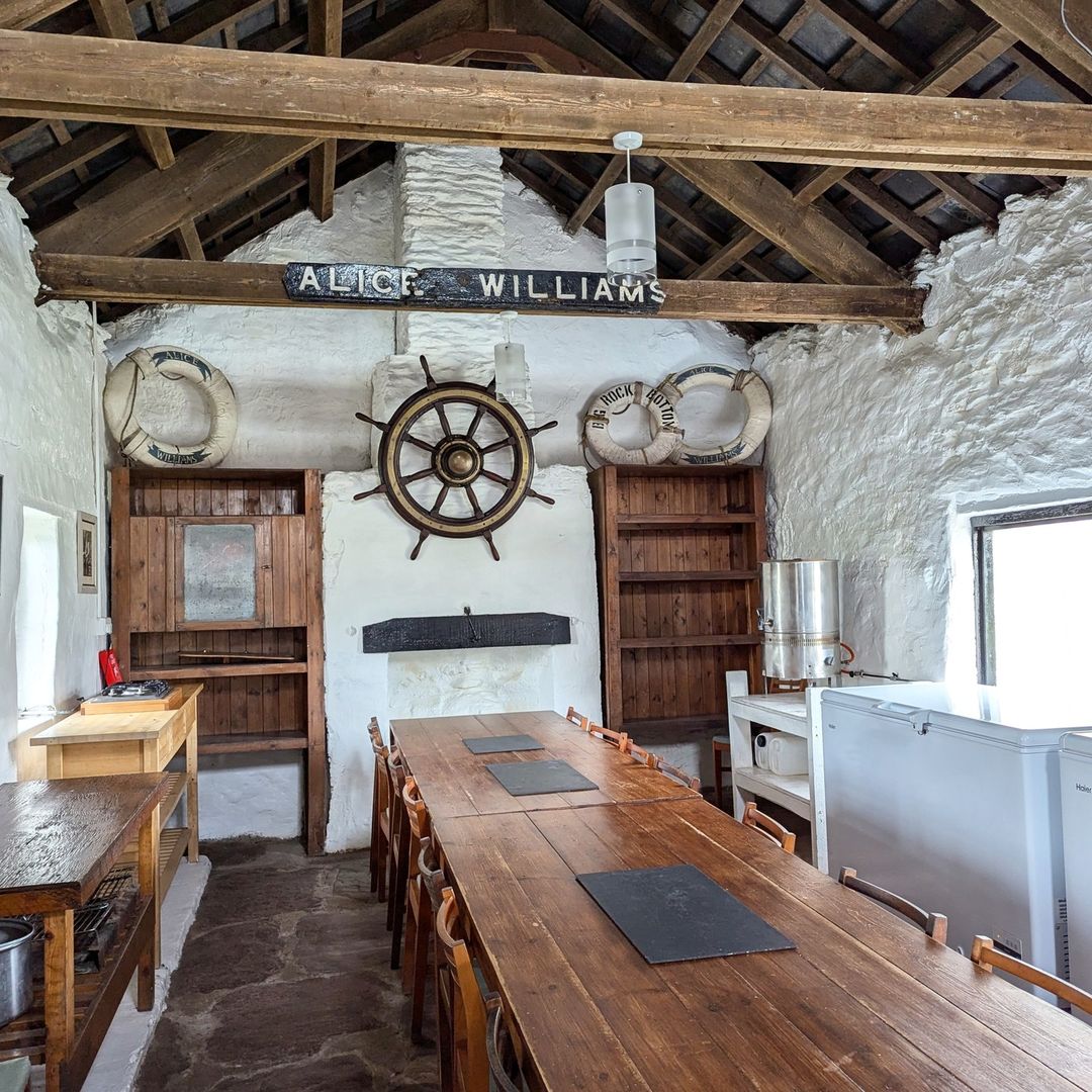 Lara Nouri tweet media