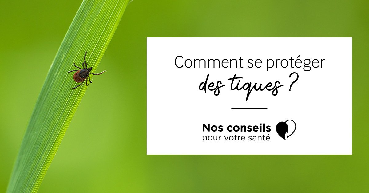 Certaines #tiques peuvent transmettre une bactérie, responsable de la maladie de #Lyme. Pour éviter de se faire mordre par une tique, il existe des bons réflexes faciles à mettre en place, on vous explique 👉🏻mypharmactiv.fr/conseils/comme…