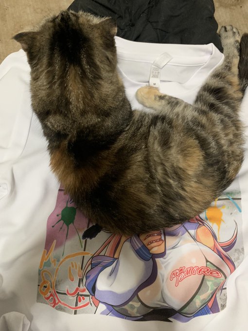 さっそくお座布団( 'Д` ) 