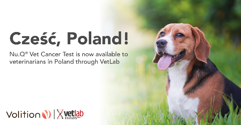 VolitionRx's tweet photo. Our Nu.Q® Vet Cancer Test is now available to veterinarians in Poland through VetLab! 

Find out more on their website: https://t.co/lihD4rN25N