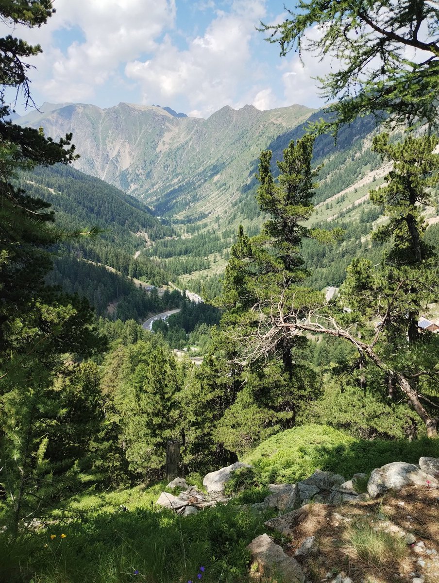 Ally Hume tweet media