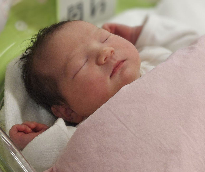 mary williams tweet media