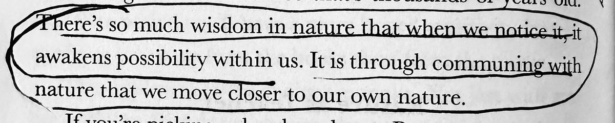 Get out there and explore, my friends.
👇🏼👇🏼👇🏼