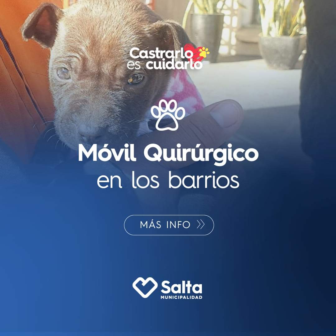 Info Muni Salta tweet media