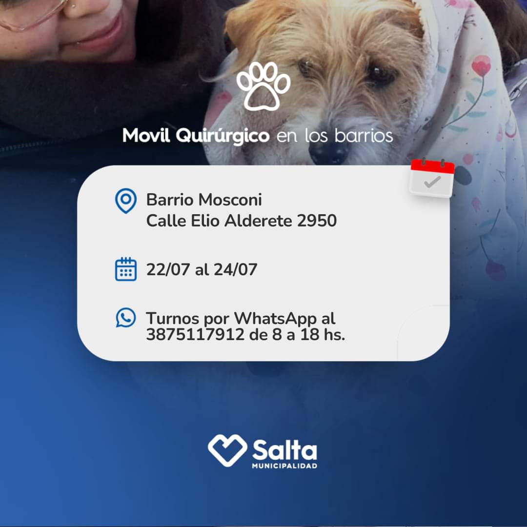 Info Muni Salta tweet media