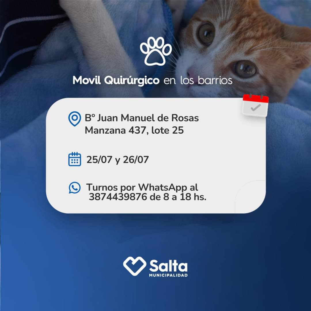 Info Muni Salta tweet media