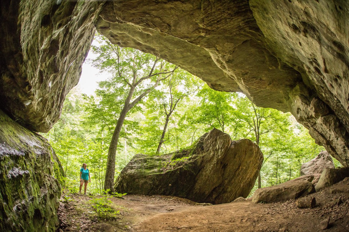 Conservancy in KY tweet media