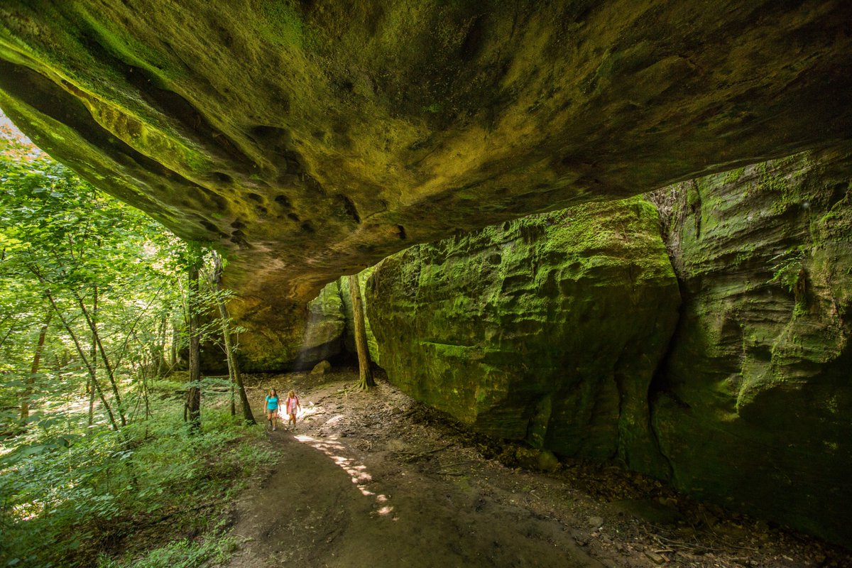 Conservancy in KY tweet media