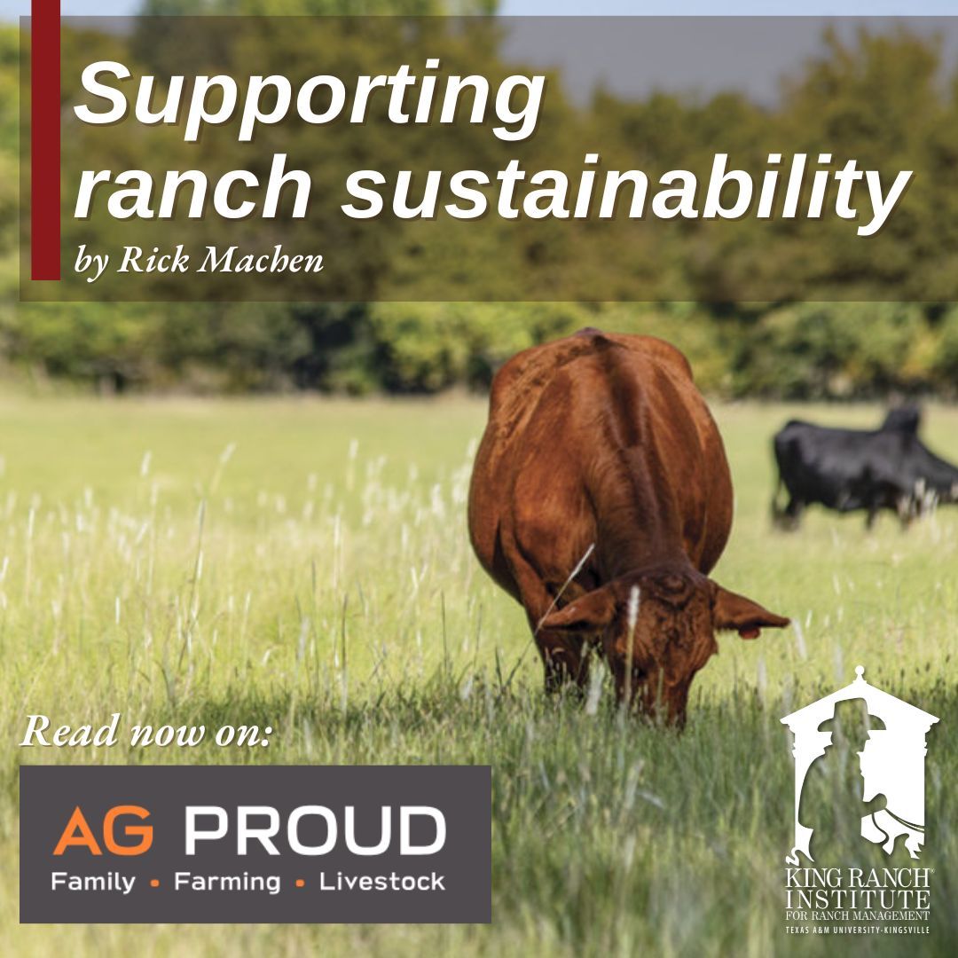 King Ranch Institute tweet media