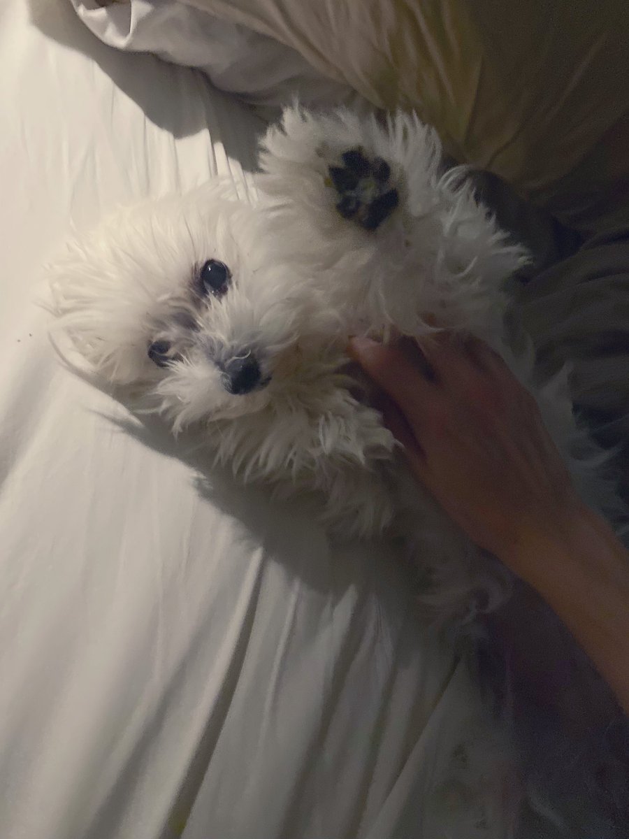 Could I have a high five pls 🥺👉👈