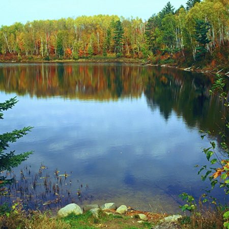 Lakota Man tweet media