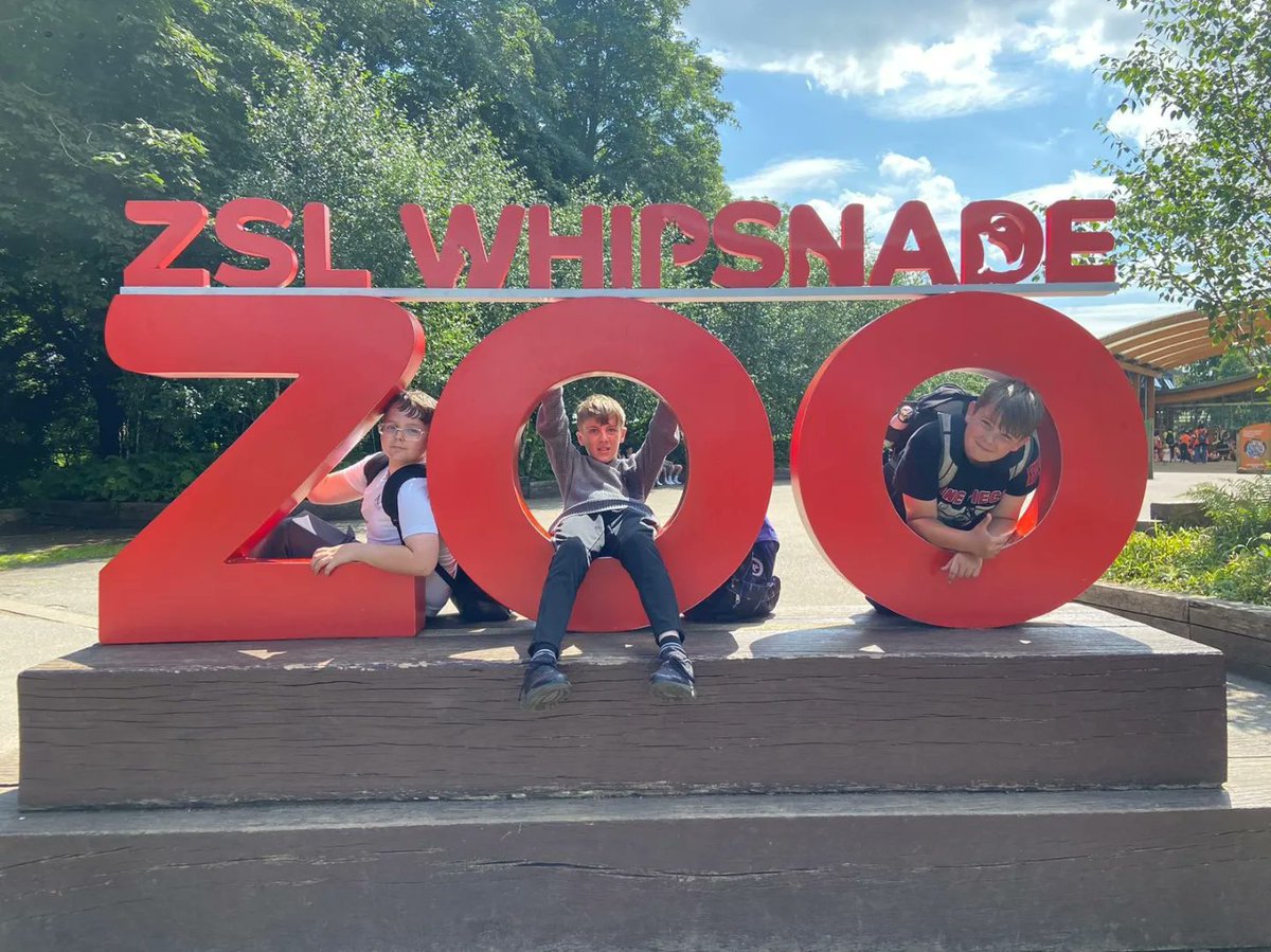 The Ferrers School tweet media