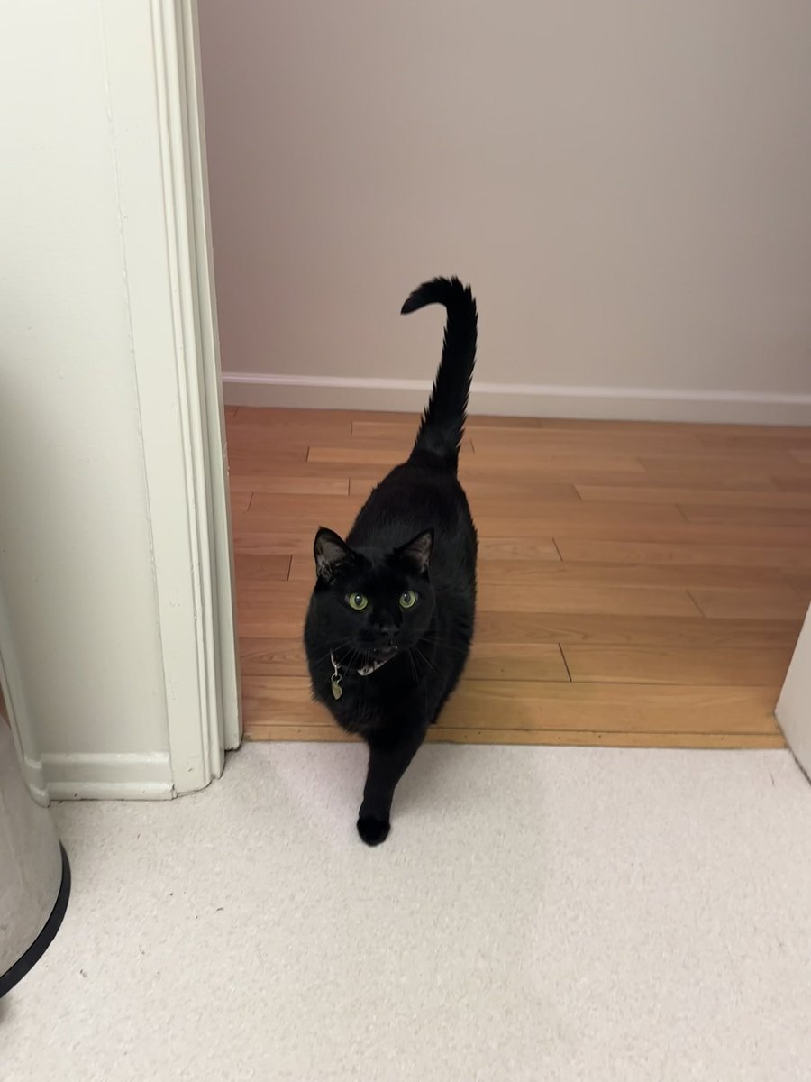 robertoupdates's tweet image. 