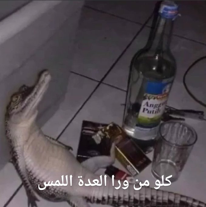 m7mdgadd74's tweet photo. ساعات بتبقي كدا بجد https://t.co/vUJidw3MRo