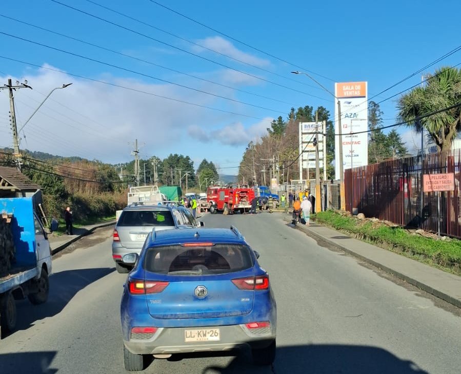 InfoBuses Valdivia tweet media
