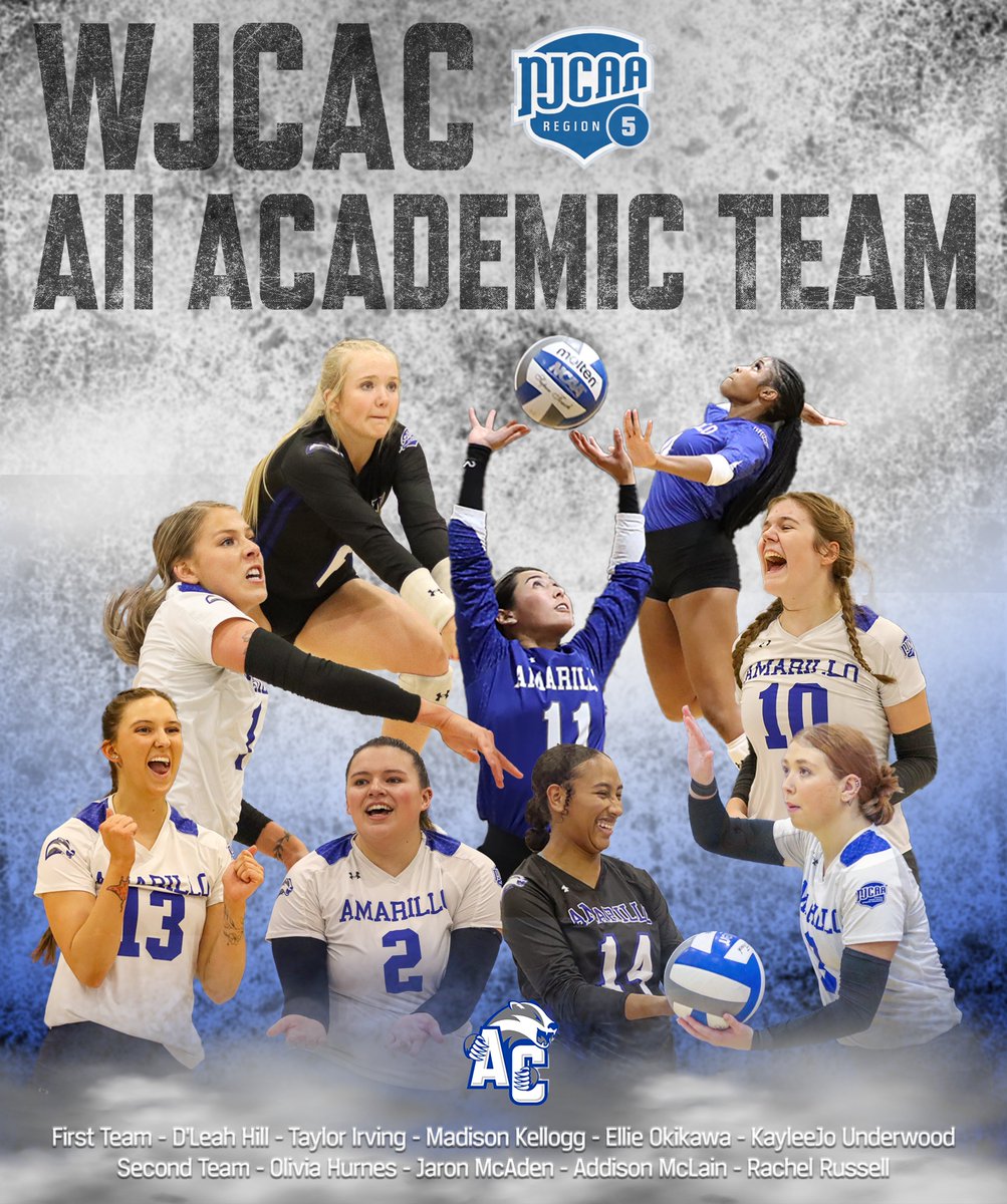 Amarillo College Badger Volleyball tweet media