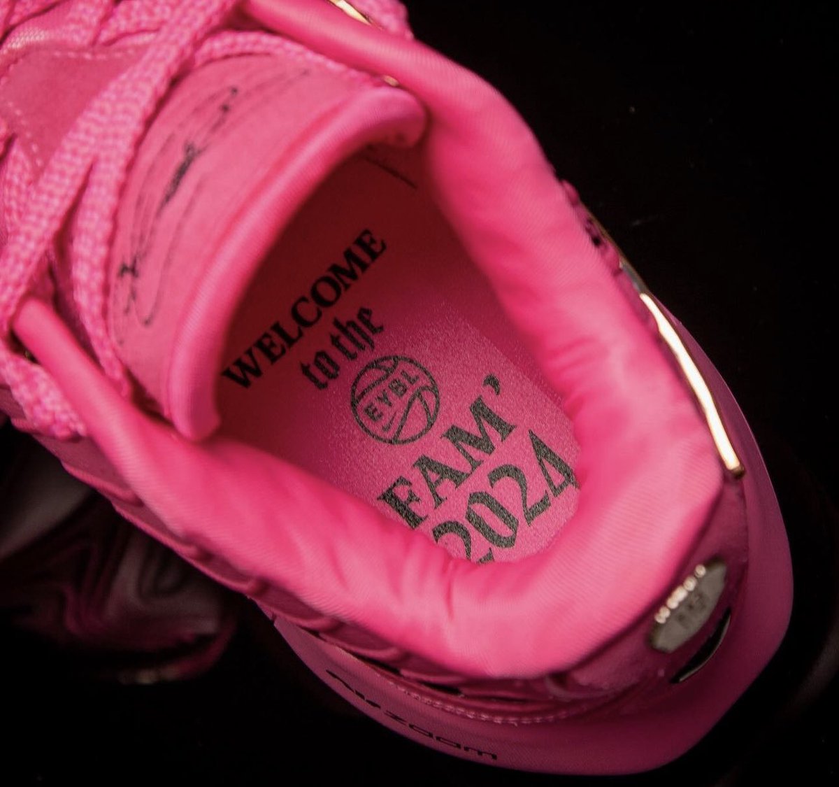 nicekicks's tweet photo. 2024 EYBL Nike LeBron 21’s✨ https://t.co/1IkQVBoDFY