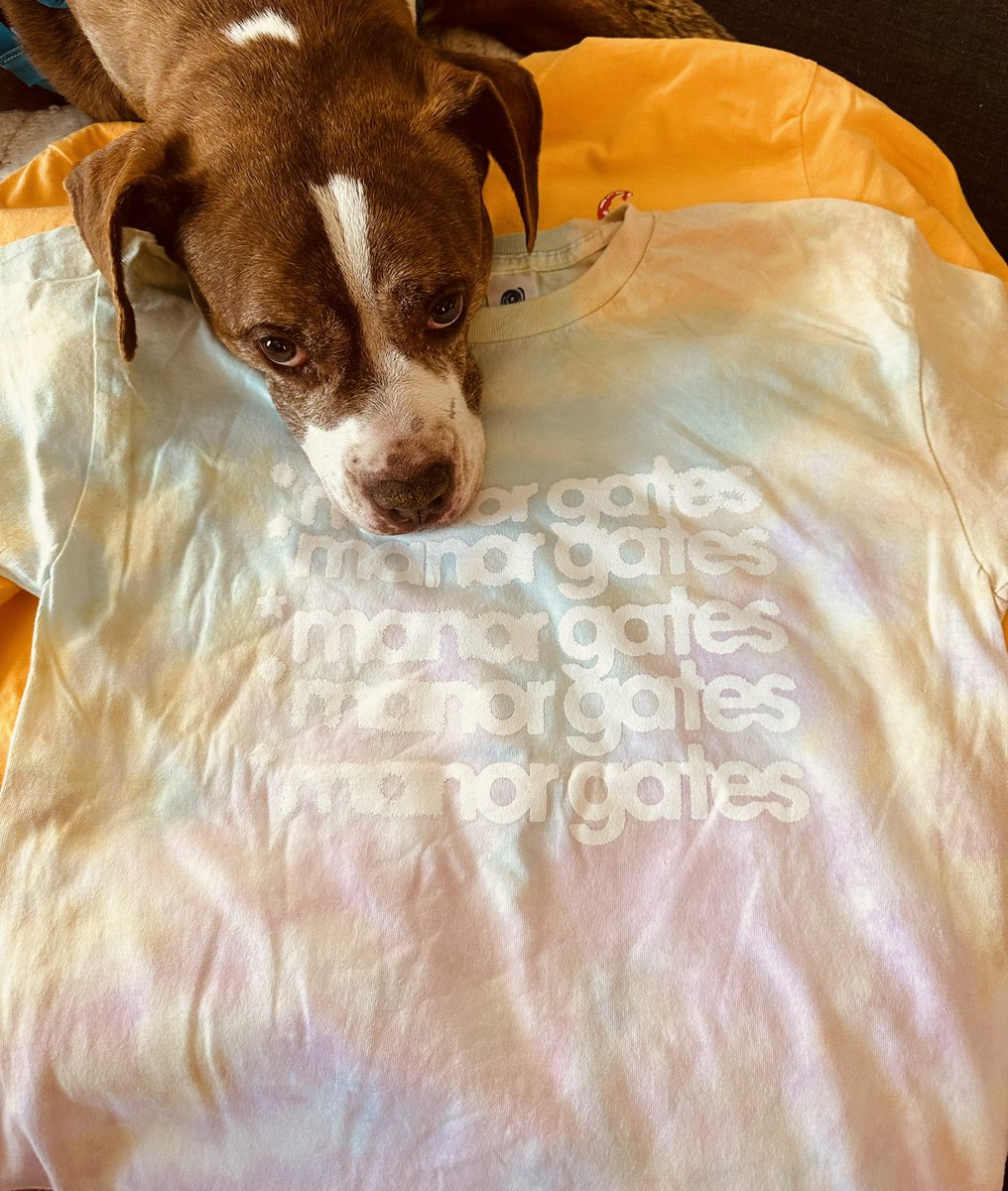 manorgatesmusic's tweet image. New summer merch arrived in the nick of time! Come get some this weekend in Cleveland, Cincy, and Indy with Bottom Bracket. 

“Yee-Haw” designed by @palettestaches 💋

Manny Gee Logo designed by @___c____s 🤘(on Snowcone Tye Dye 👀)