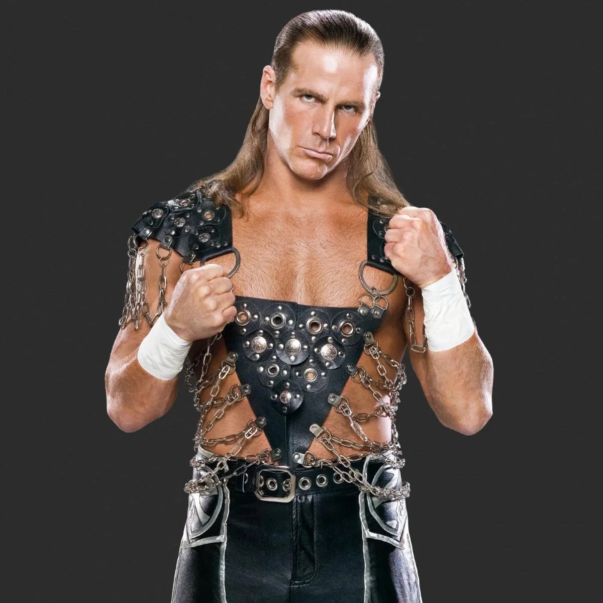 realonlineboy's tweet photo. It’s so funny that Shawn Michaels’ WWE character was “ladies’ man who the girls love” and not “the gayest guy to ever live” https://t.co/JrgHDfPSBb