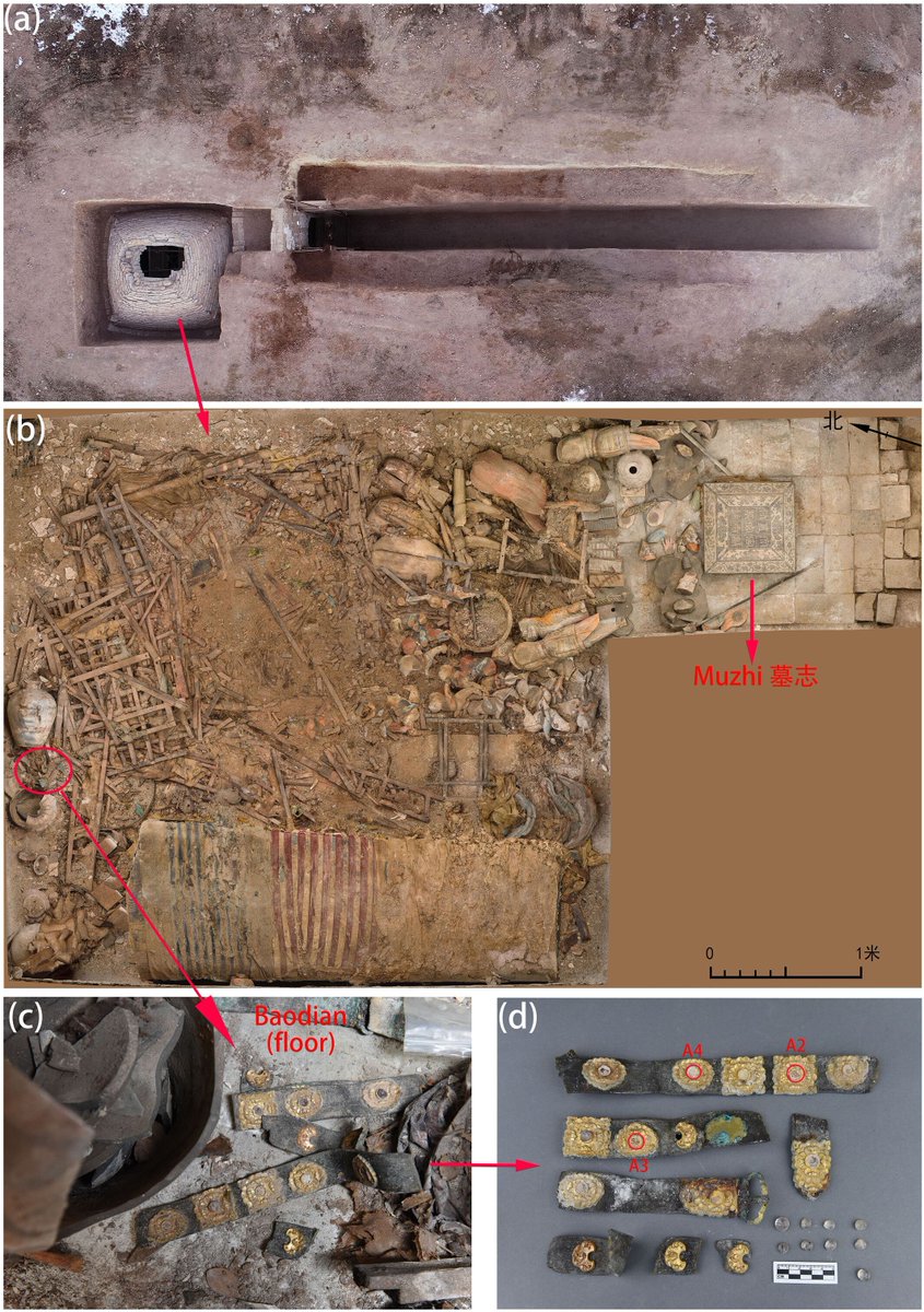 Identification and analysis of gemstone binding materials on imperial rank belts excavated from the tomb of Murongzhi 
buff.ly/49yqHTE