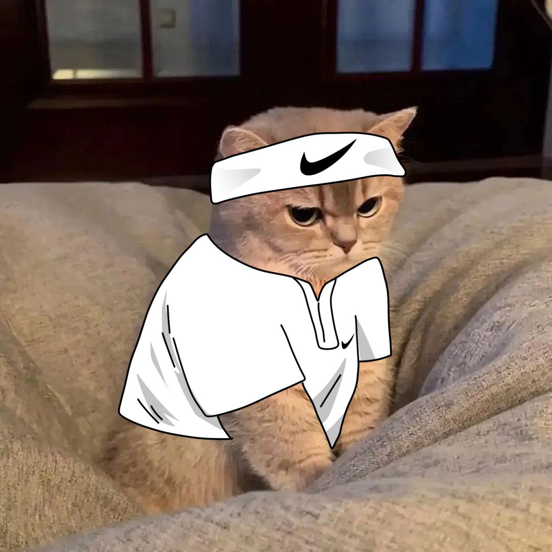 MemeFindor's tweet photo. @phantom @mert LOL $GRUMP would agree
+ exercise! @phantom @mert https://t.co/FLaRdee6V8