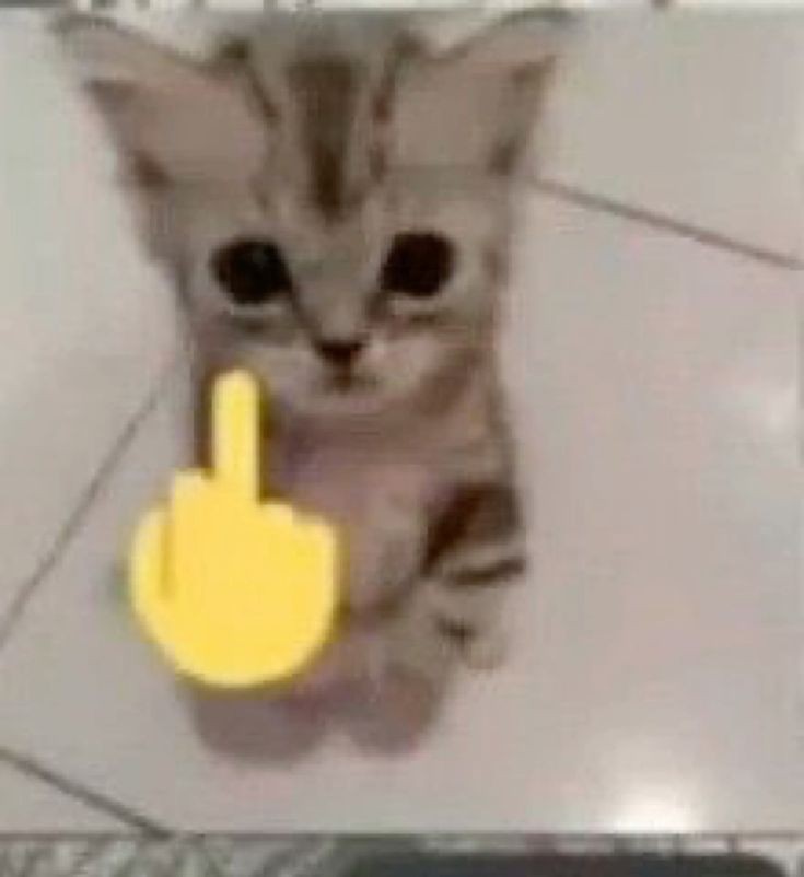 ⠀ ⠀⠀

⠀ ⠀⠀──── ⠀metense 

⠀ ⠀#nv