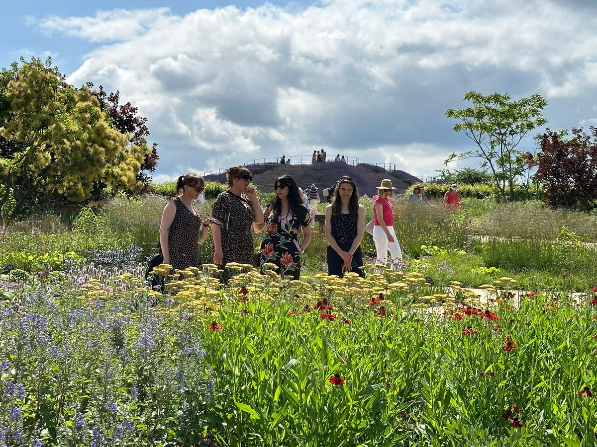 ASA Landscape tweet media