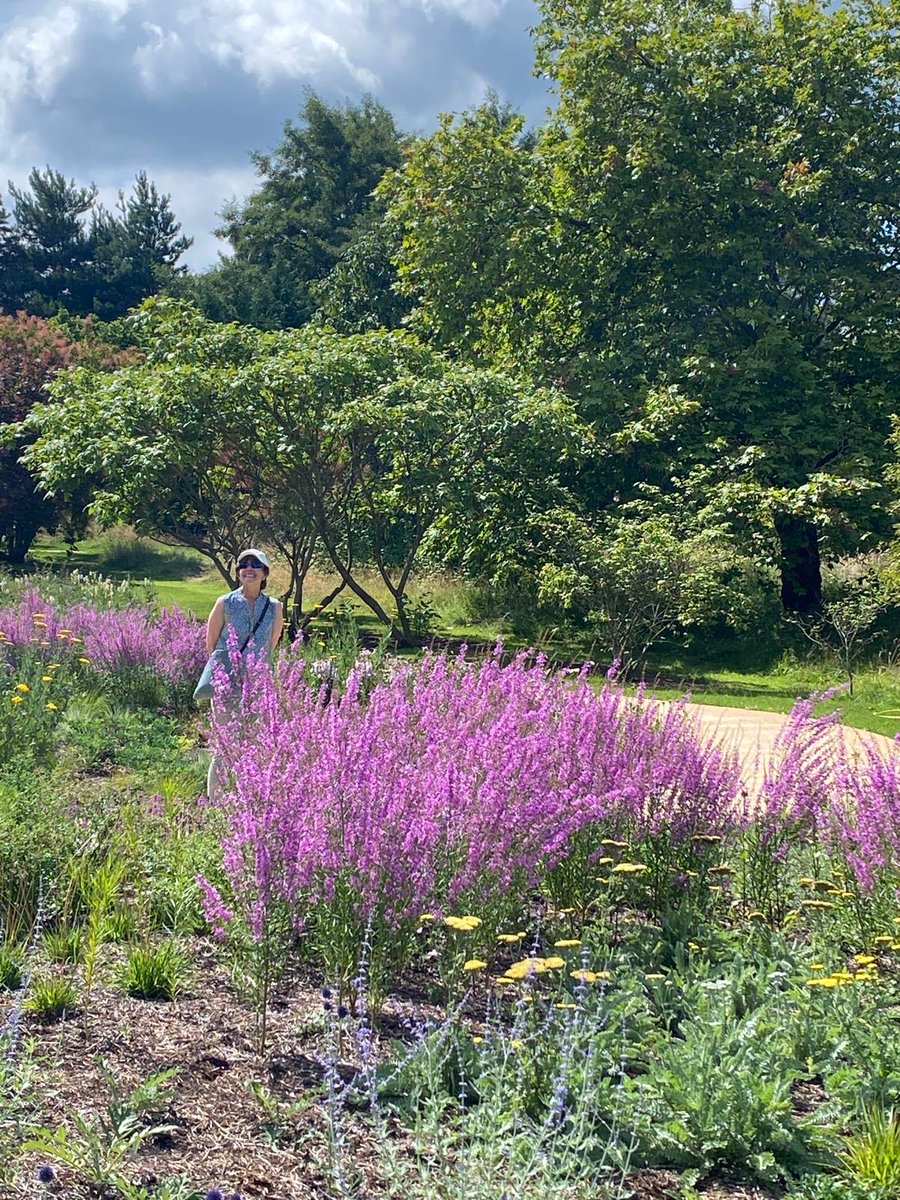 ASA Landscape tweet media