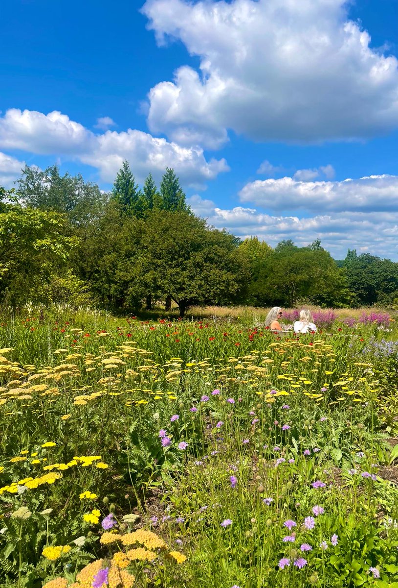 ASA Landscape tweet media