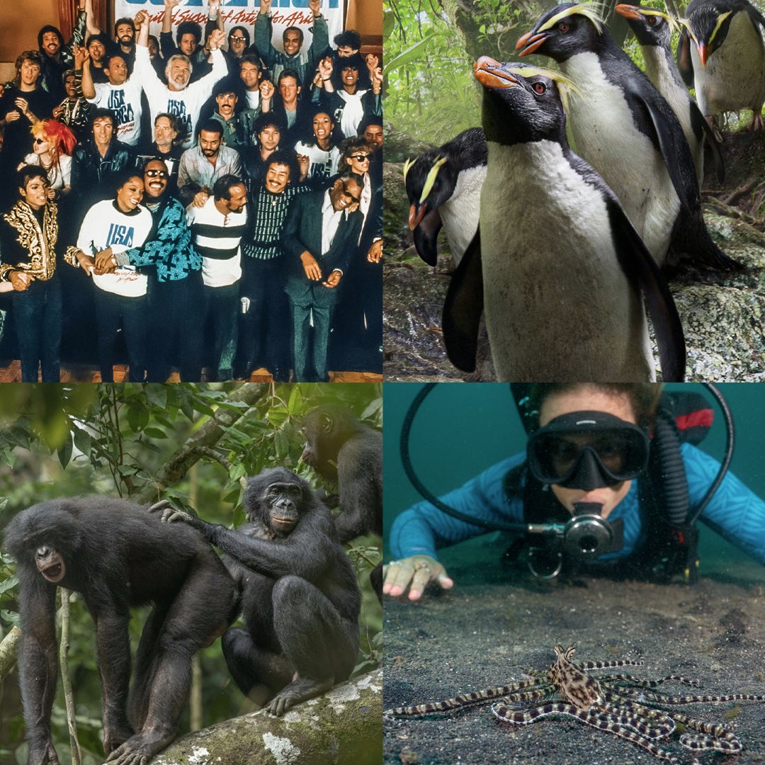 ⭐ Emmy Nominees 2/3:

THE GREATEST NIGHT IN POP
OUR PLANET II
QUEENS
SECRETS OF THE OCTOPUS