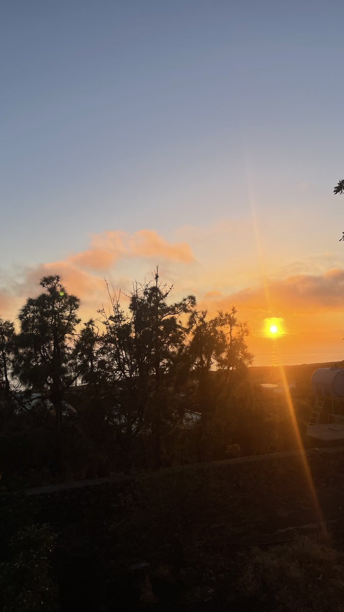 Miloslav Šindelář tweet media