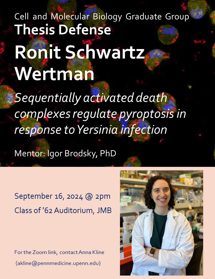 Ronit <a href="/RonitSchwartz99/">Ronit Schwartz, PhD</a> in the <a href="/BrodskyIgor/">Igor Brodsky</a> lab defends her thesis on Monday!